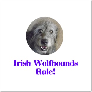 Irish Wolfhounds Rule! Posters and Art